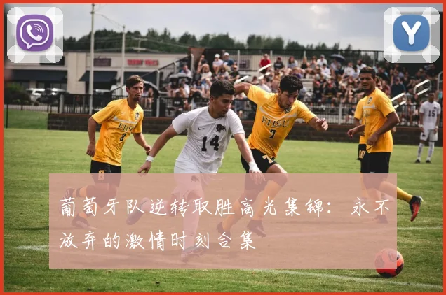 葡萄牙队逆转取胜高光集锦：永不放弃的激情时刻合集