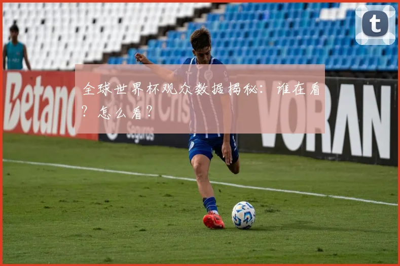 全球世界杯观众数据揭秘:谁在看?怎么看?