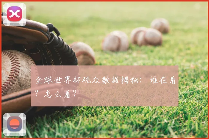全球世界杯观众数据揭秘：谁在看？怎么看？
